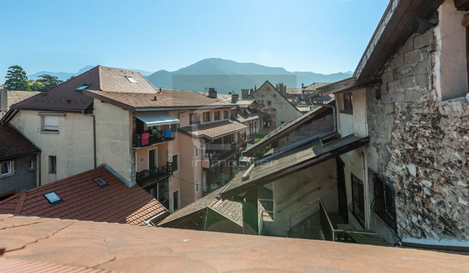 vente Appartement rénové Annecy