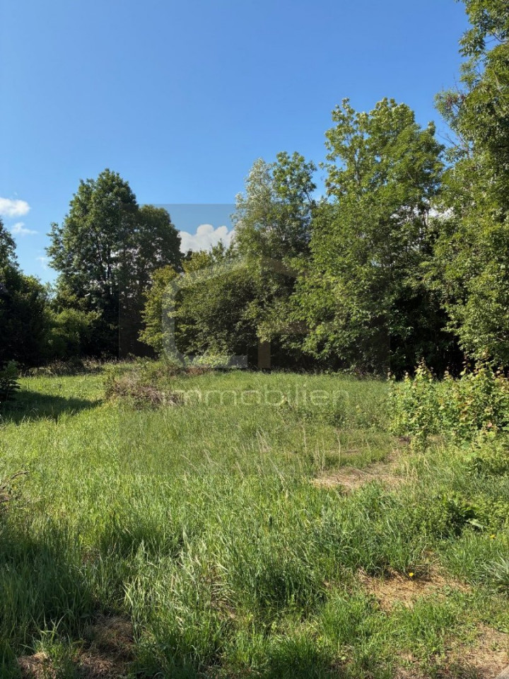 vente Maison Allonzier La Caille - Photo 3