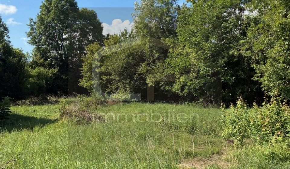 vente Maison Allonzier La Caille