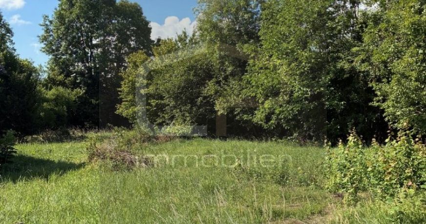 vente Maison Allonzier La Caille