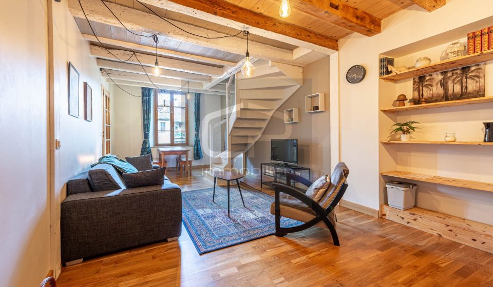 vente Appartement Annecy