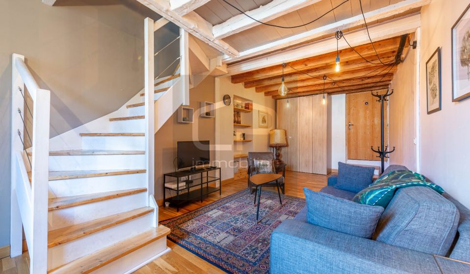 vente Appartement Annecy