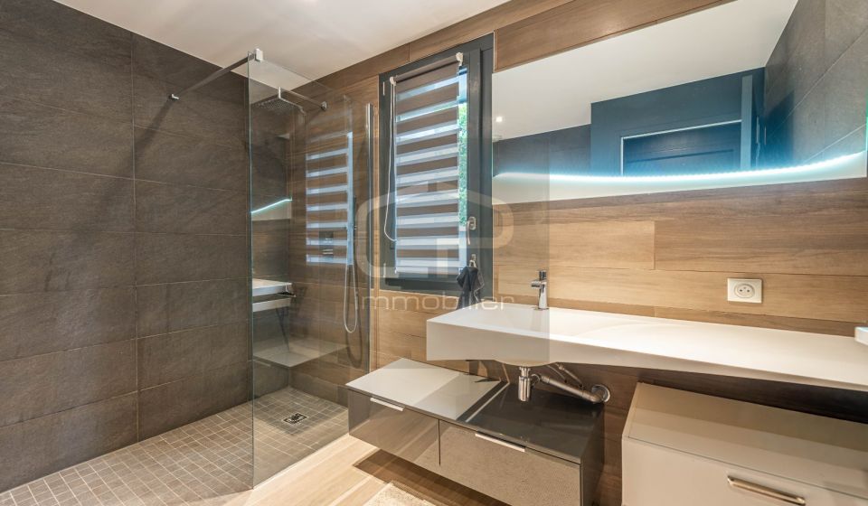 vente Maison contemporaine Annecy Le Vieux