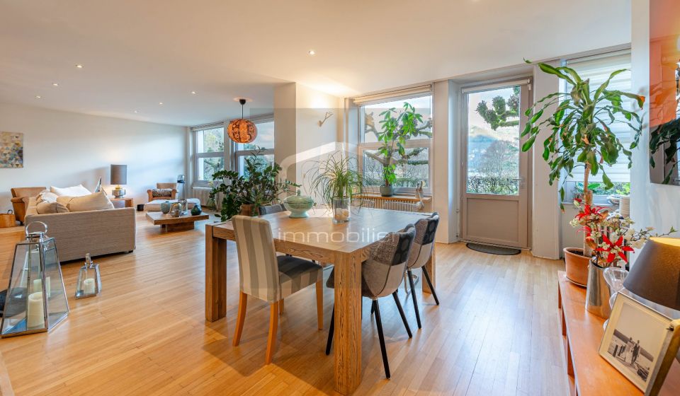 vente Appartement Sevrier