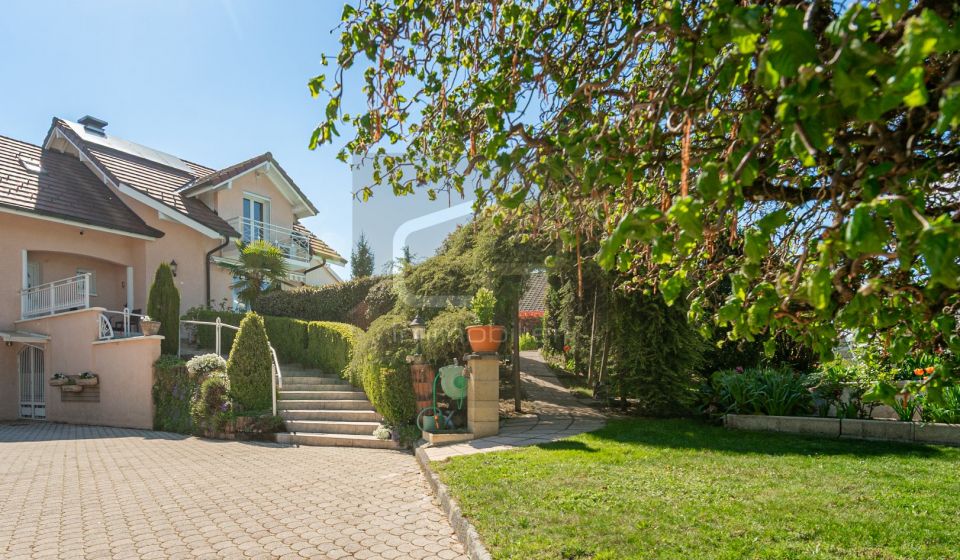 vente Maison individuelle Saint Martin Bellevue