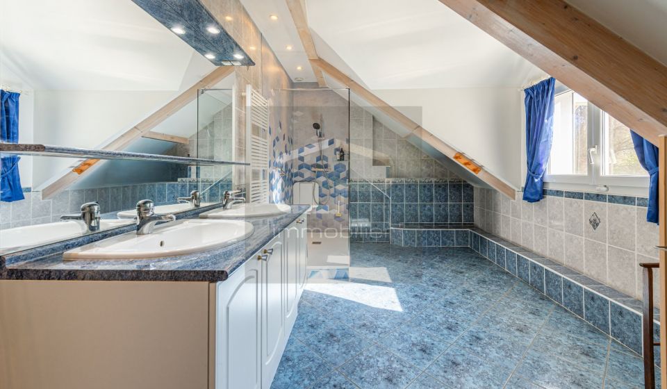 vente Maison individuelle Saint Martin Bellevue