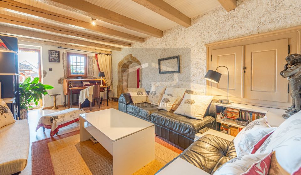 vente Appartement Veyrier Du Lac