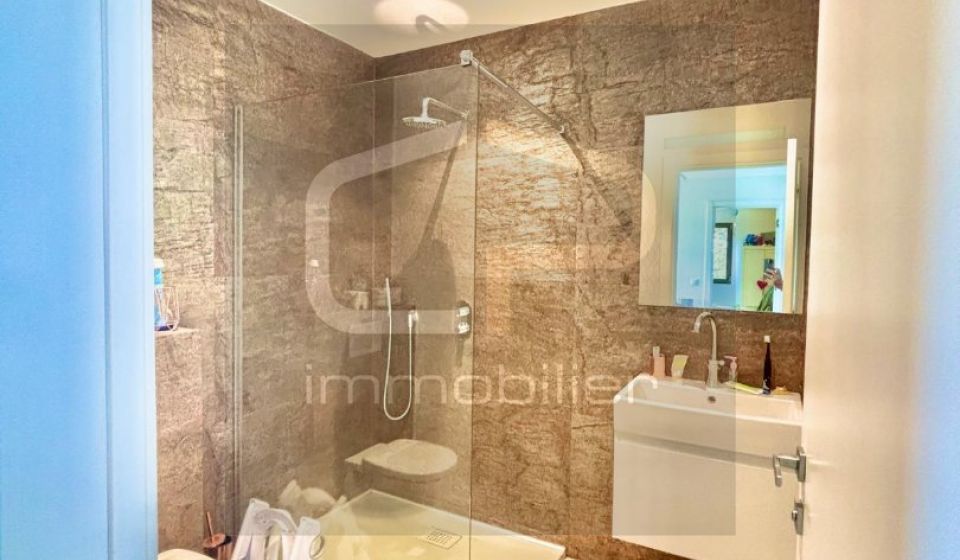 vente Maison individuelle Crozet
