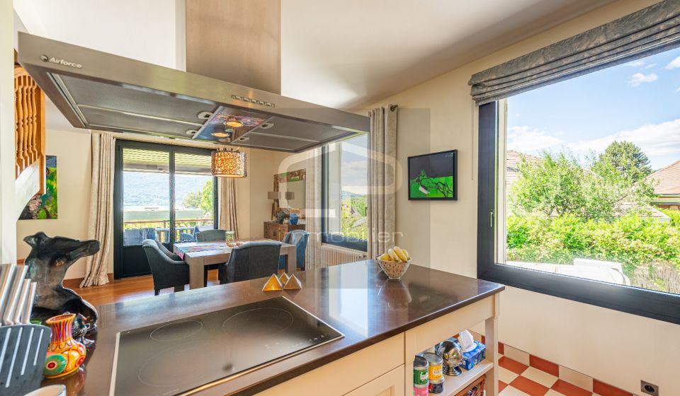 vente Maison individuelle Veyrier Du Lac