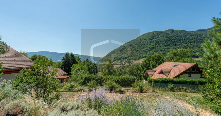 vente Maison Bluffy