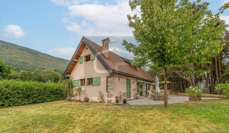 vente Maison Saint Jorioz