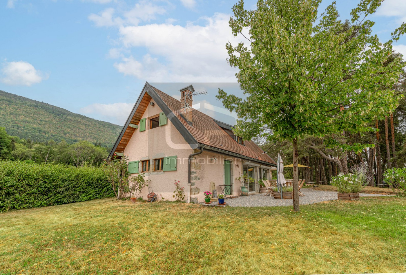vente Maison Saint Jorioz - Photo 2