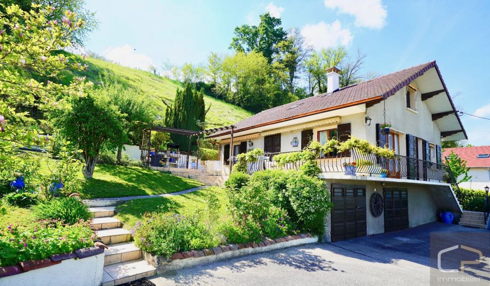 vente Maison Rumilly