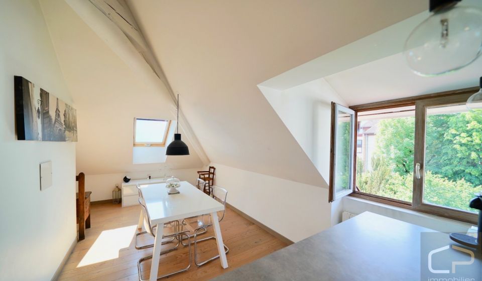 vente Appartement Annecy