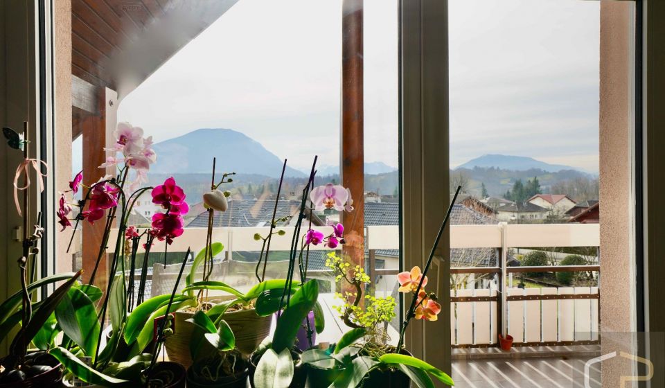 vente Appartement Argonay