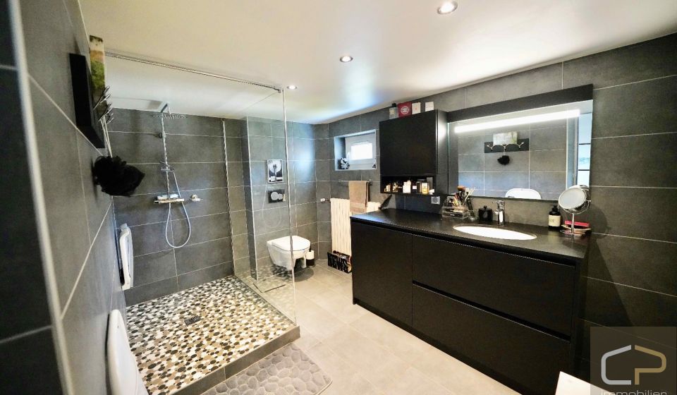 vente Maison Brison Saint Innocent