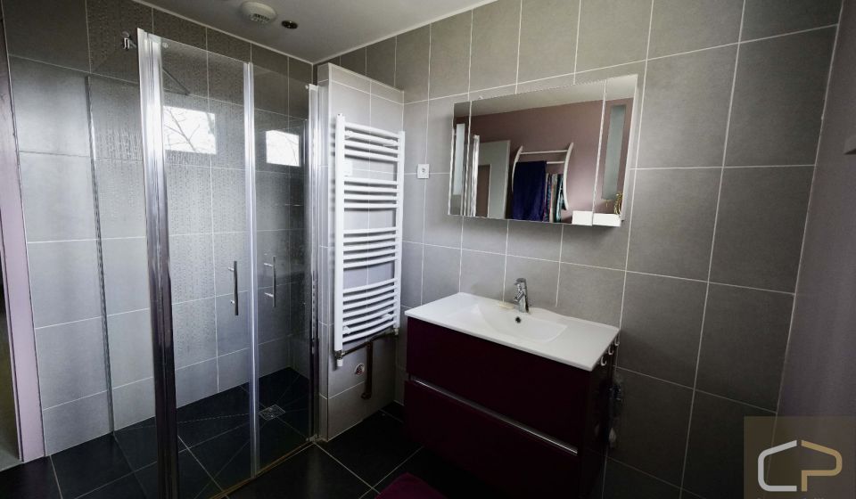 vente Maison Viuz La Chiesaz