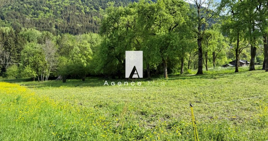 à vendre Maison Lullin
