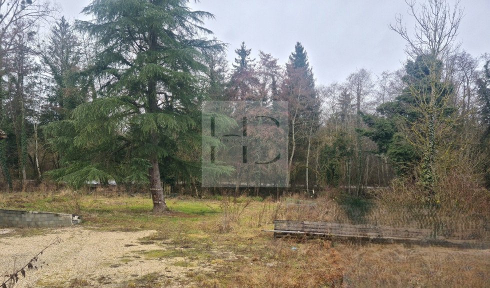 vente Maison Perrignier - Photo 6