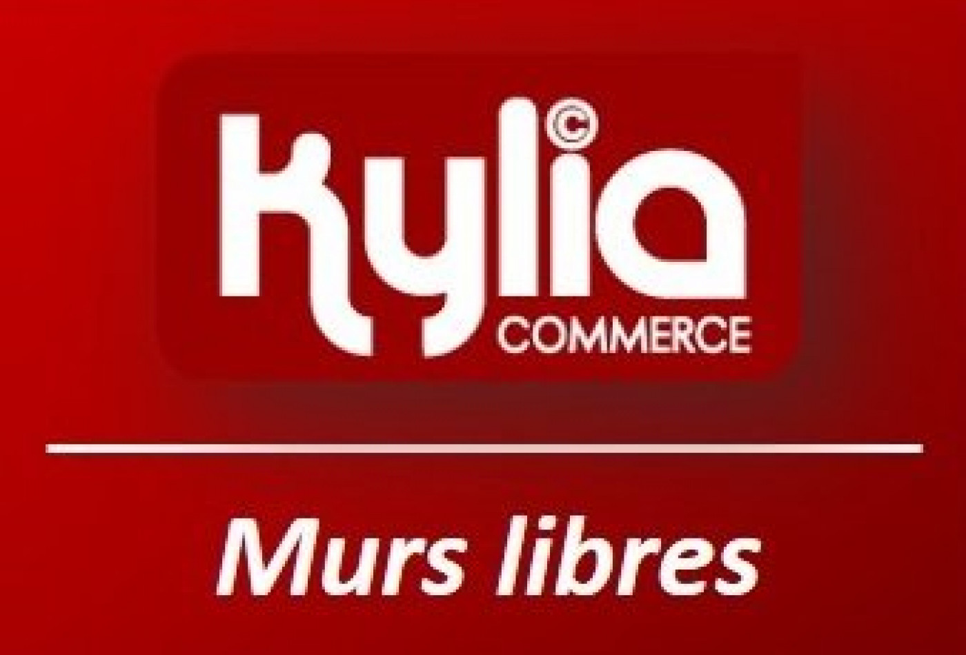 vente Paris 3eme Arrondissement - Photo 1
