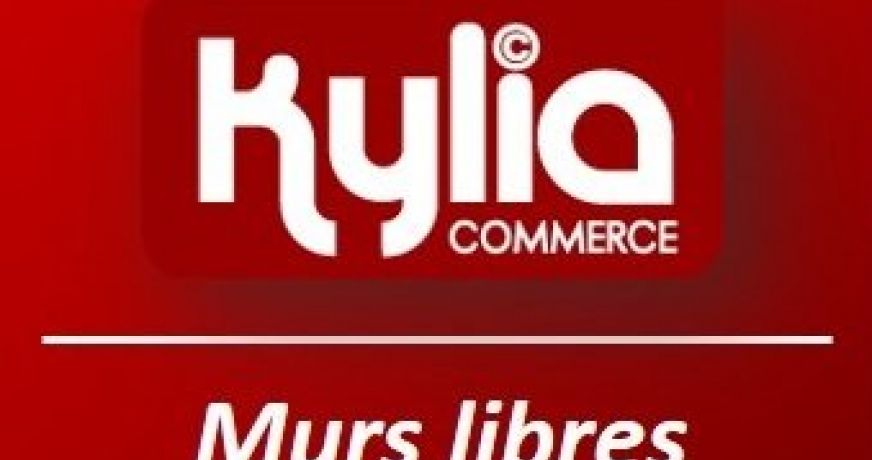 vente Local commercial Villeneuve Saint Georges