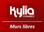 vente Local commercial Villeneuve Saint Georges