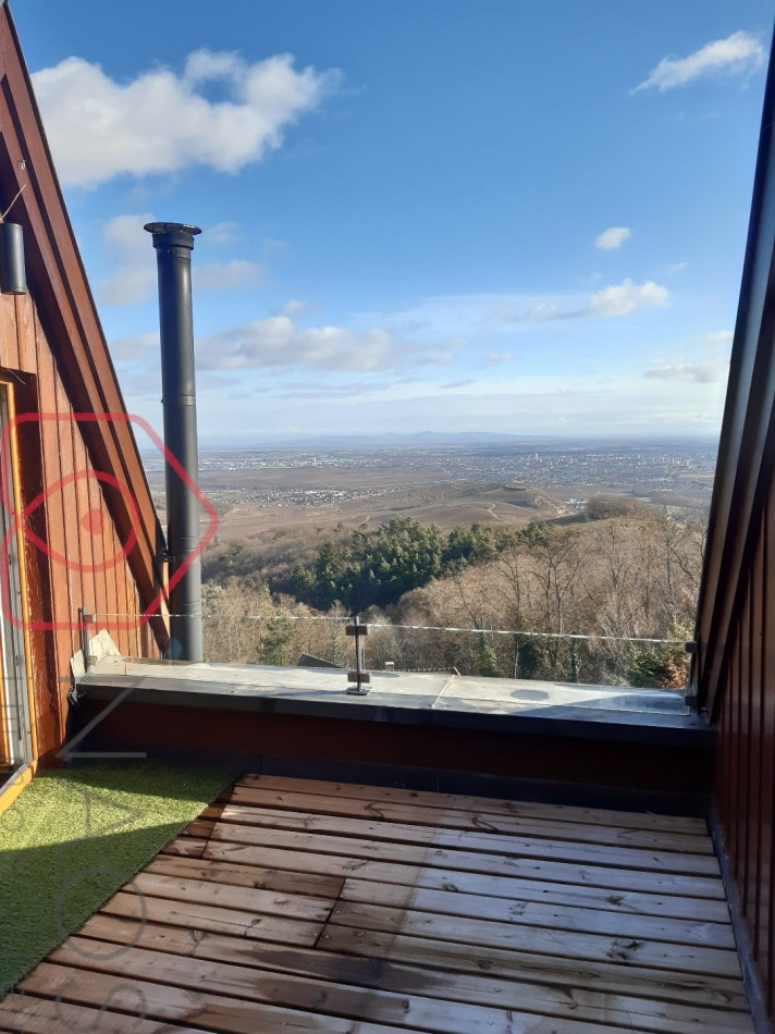 vente Appartement terrasse Niedermorschwihr - Photo 5