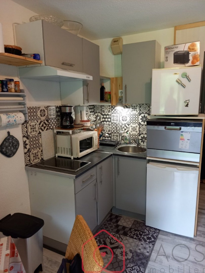 vente Studio cabine Mont Saxonnex - Photo 4