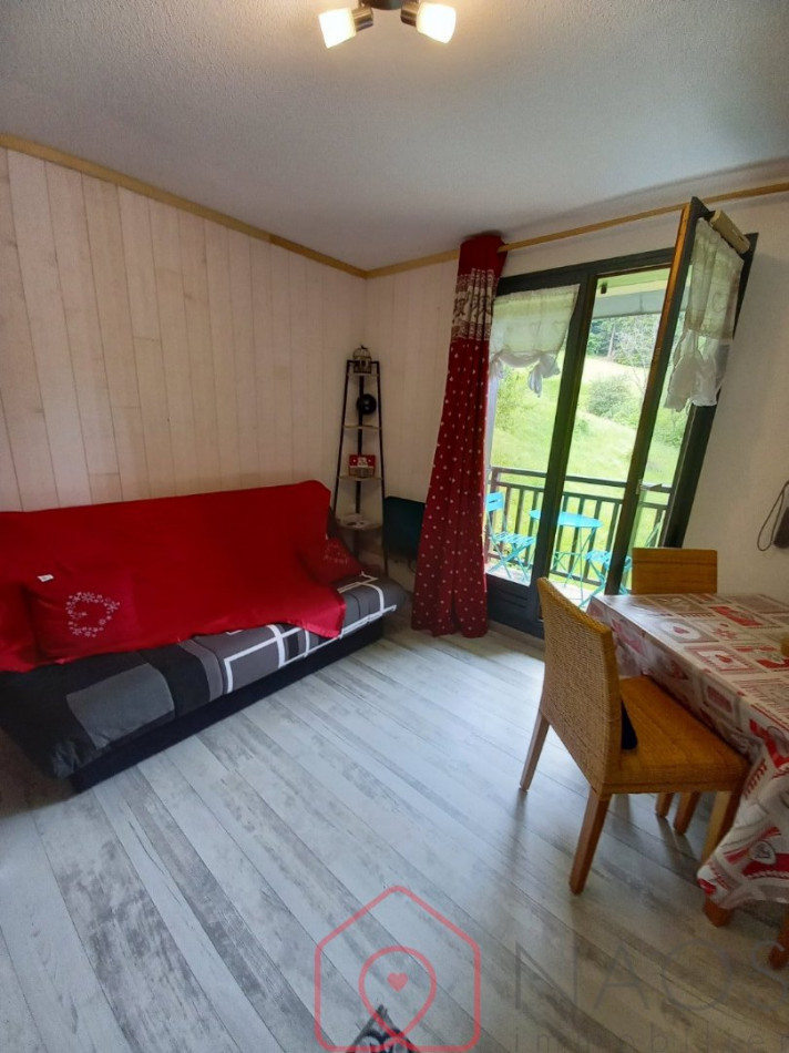 vente Studio cabine Mont Saxonnex - Photo 3