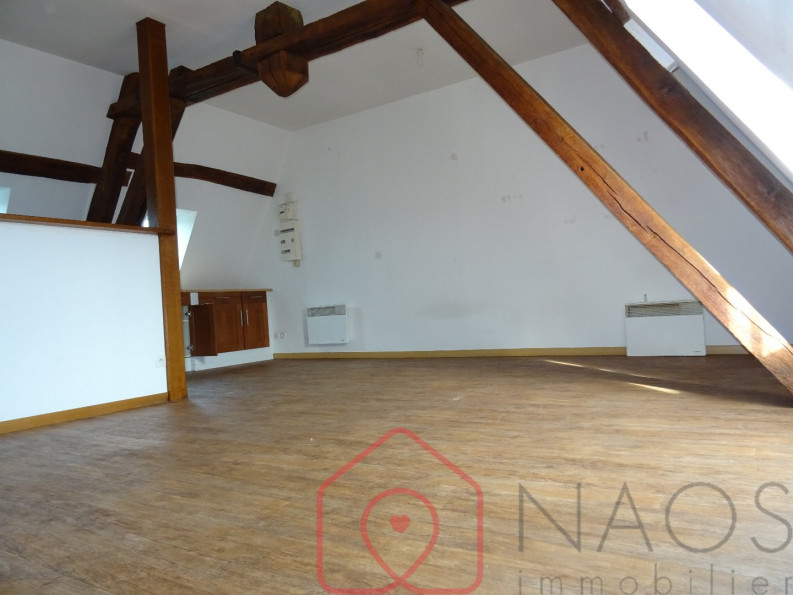 location Appartement La Chapelle D'angillon - Photo 2