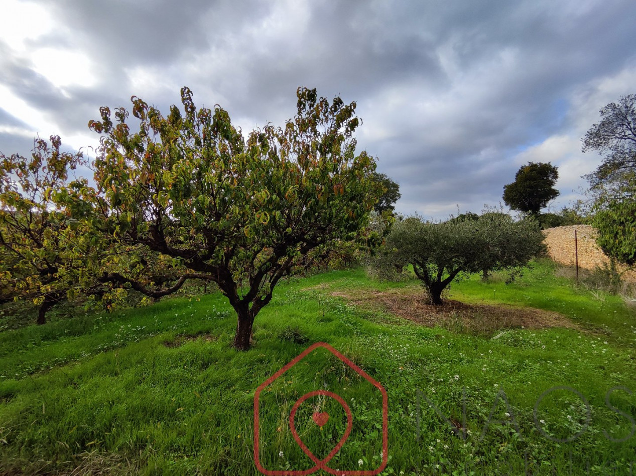 vente Maison vigneronne Puisserguier - Photo 4