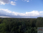 vente Appartement Meudon La Foret