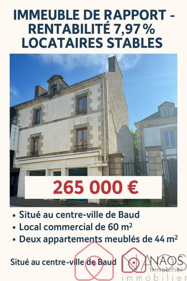 vente Immeuble Baud - Photo 1