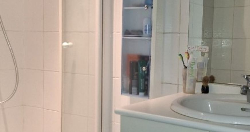 vente Propriété Coullons