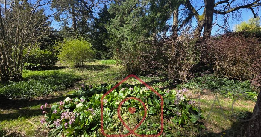 vente Terrain diffus (hors lotissement) Mignaloux Beauvoir