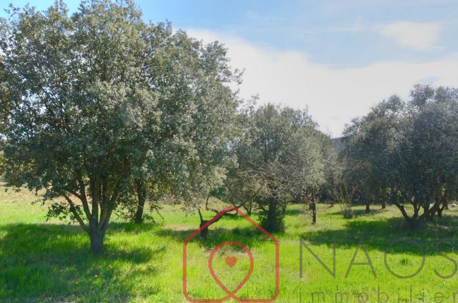 vente Terrain constructible Vinon Sur Verdon - Photo 4