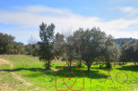 vente Terrain constructible Vinon Sur Verdon