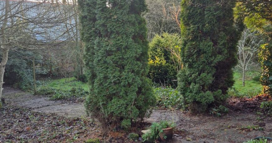 vente Terrain constructible Pontivy