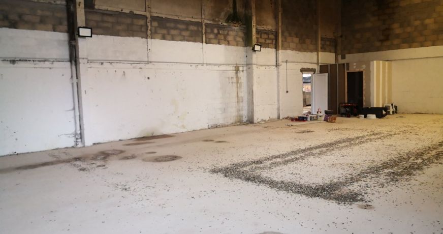 vente Locaux d'activité Cepoy