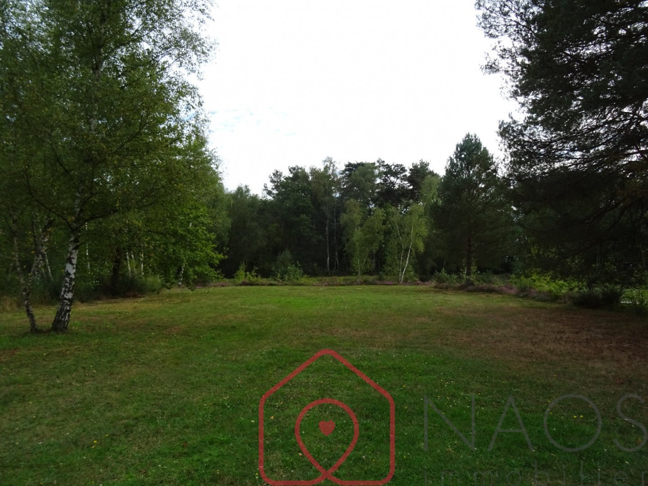 vente Habitation de loisirs Sainte Montaine - Photo 6