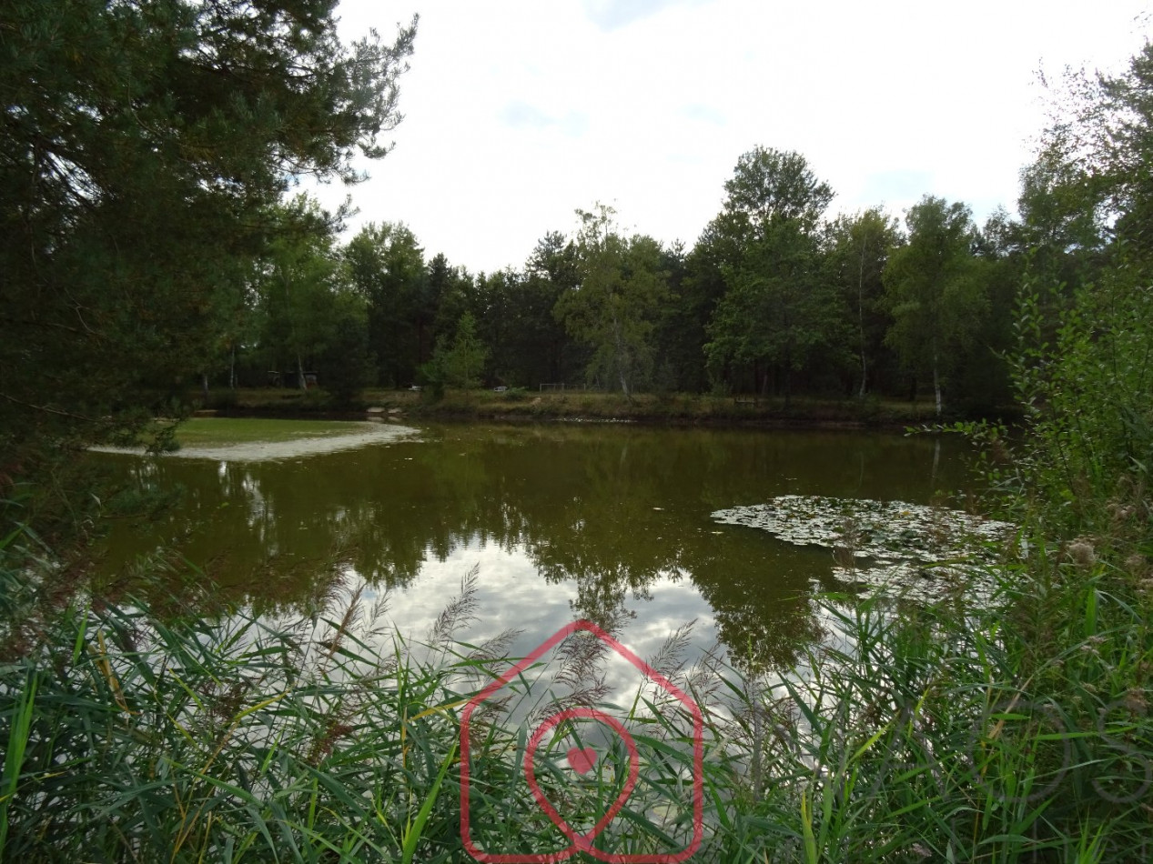 vente Habitation de loisirs Sainte Montaine - Photo 7