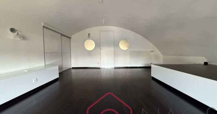 vente Loft/atelier/surface Sedan