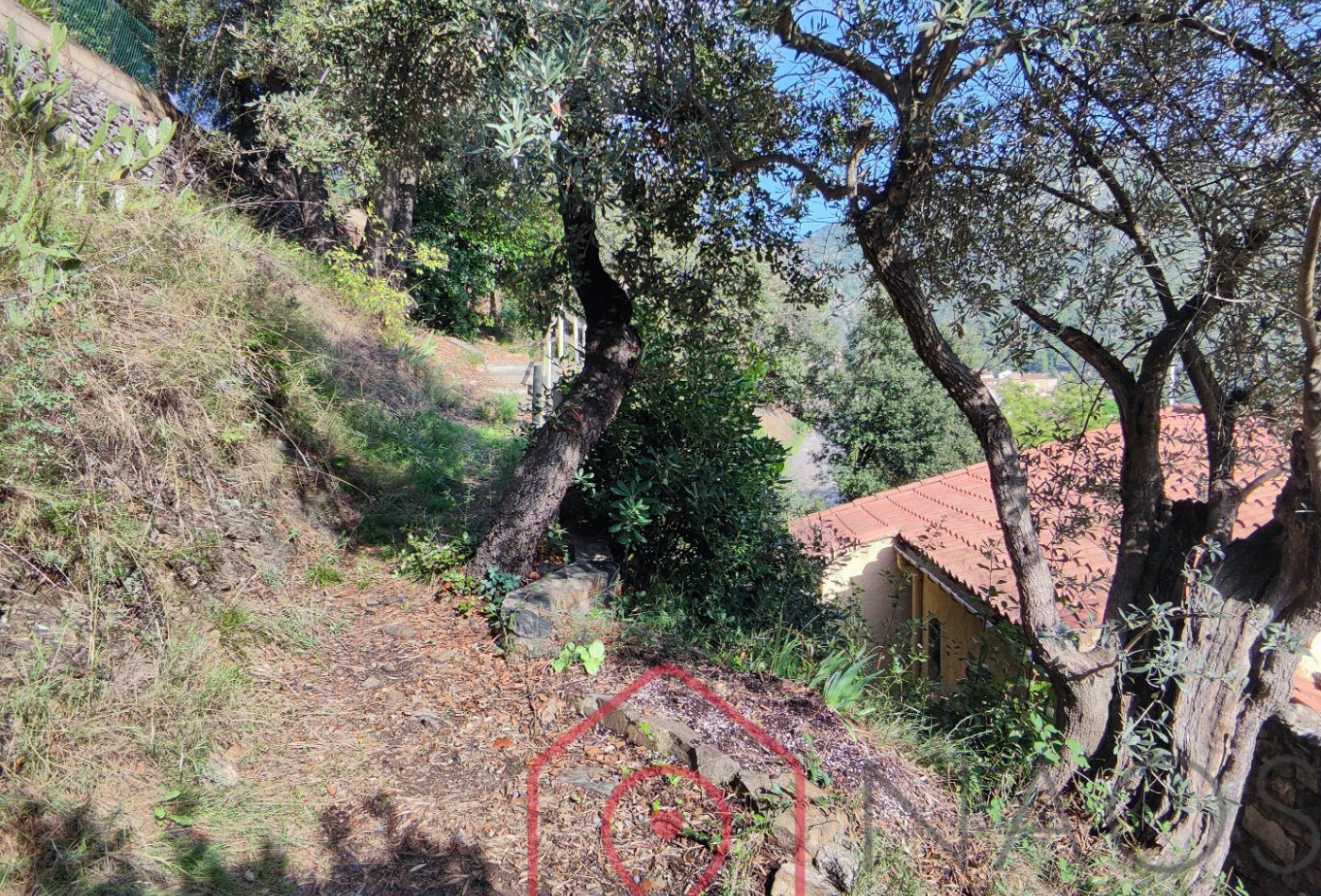 vente Villa Roquebrun - Photo 5