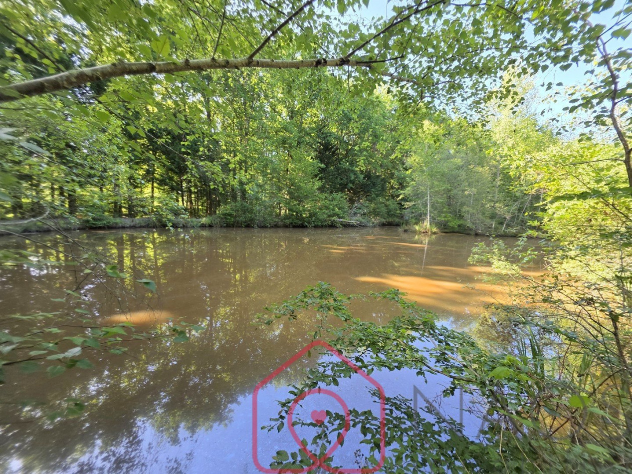 vente Terrain boisé – forêt Nouan Le Fuzelier - Photo 3