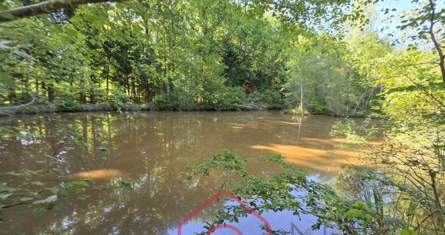 vente Terrain boisé – forêt Nouan Le Fuzelier
