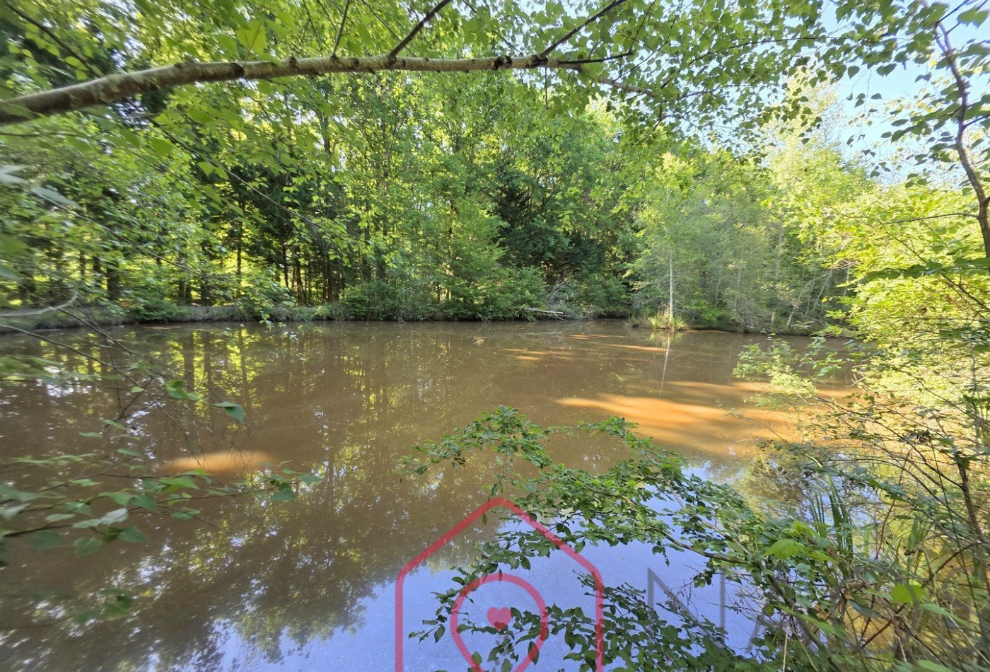 vente Terrain boisé – forêt Nouan Le Fuzelier - Photo 3