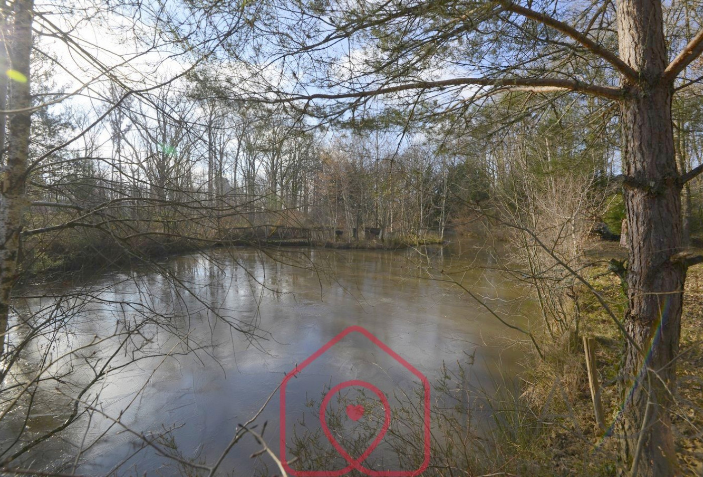 vente Terrain boisé – forêt Nouan Le Fuzelier - Photo 10