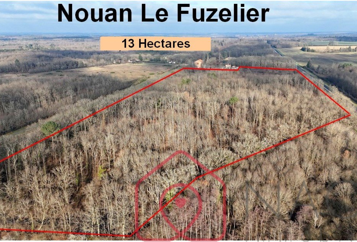 vente Terrain boisé – forêt Nouan Le Fuzelier - Photo 8