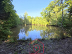 vente Terrain boisé – forêt Nouan Le Fuzelier