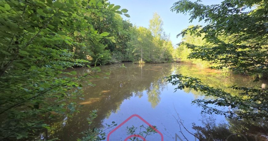 vente Terrain boisé – forêt Nouan Le Fuzelier